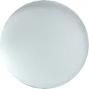 Frost primer on glass